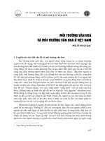 DSpace at VNU: Môi trường văn hóa và môi trường văn hóa ở Việt Nam