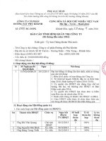 Bao cao tinh hinh quan tri cong ty 6 thang dau nam