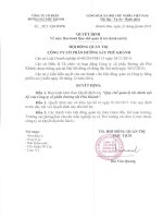 Quy che quan ly tai chinh noi bo cty cophan dspk