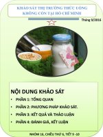 KHẢO sát THỊ TRƯỜNG THỨC UỐNG có cồn tại TP hồ CHÍ MINH 2017
