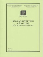 BCTC Công ty Mẹ Quý 3 năm 2017