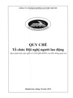 Quy che to chuc hoi nghi nguoi lao dong