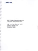 BCTC HN DKT 2011 (2)