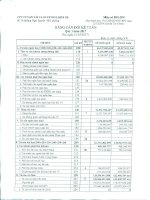 BCTC CTY ME QUY I 2017 PTS