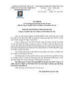 13- Tờ trình sửa đổi, bổ sung Điều lệ tổ chức và hoạt động Công ty.