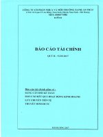 BCTC quy II Cong ty me