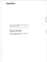 bao cao tai chinh da duoc soat xet 6 thang dau nam 2015