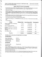 bao cao tai chinh nam 2015