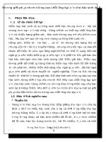 SKKN những giải pháp nhằm nâng cao chất lượng bài văn cho học sinh lớp 8 