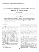 DSpace at VNU: Two new species of the genus Arisaema Mart. (Araceae) described for flora of Vietnam