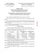 Nghị quyết, biên bản họp, biên bản bầu bổ sung thành viên ban kiểm soát tại đại hội đồng cổ đông thường niên năm 2017