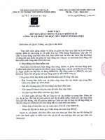 Báo cáo kết quả hoạt động của Ban kiểm soát Công ty cổ phần tin học viễn thông Petrolimex