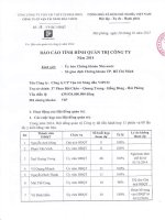 Báo cáo Quản trị Công ty năm 2014