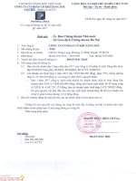 GT BC Hop Nhat Quy I 2017