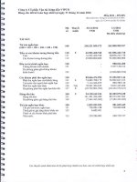 BCTC hợp nhất năm 2016