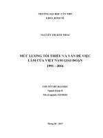 MỨC LƯƠNG TỐI THIẾU VÀ VẤN ĐỀ VIỆC LÀM CỦA VIỆT NAM GIAI ĐOẠN 19912016