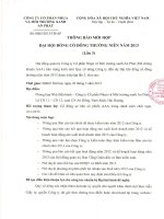 Thong bao moi hop dai hoi dong co dong 2013 lan 3