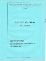 AAA BCTC Cong ty me quy IV 2016