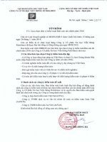 Tờ trình về việc lựa chọn đơn vị kiểm toán Báo cáo tài chính năm 2016