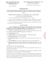 Nghị quyết hội đồng quản trị về phát hành cổ phiếu.