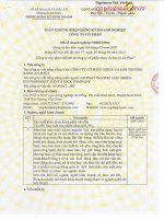 DKKD lan thu 17 AnPhat Plastic signed