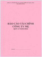 BCTC cong ty me quy 4 2016