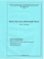 AAA_ BCTC Hop nhat quy IV-2016