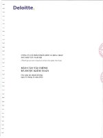 bao cao tai chinh nam 2014