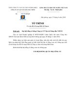 19 TT sua doi bo sung dieu le Cong ty