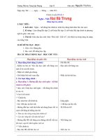 Giáo án chính tả lớp 3  học kì 2 