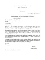 Mẫu đơn xin việc chuẩn nhất - Khóa học kế toán Mau Don Xin Viec