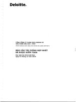 Báo cáo tài chính hợp nhất năm 2016