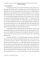 SKKN   vận dụng một số phương pháp dạy học tích cực trong tiết ôn tập, tổng kết tiếng việt 