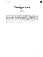 Tài liệu PDF Natri glutamat