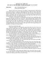 Tham luận về trường học xanh, sạch, đẹp, an toàn 