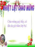 Chương II. §3. Đồ thị của hàm số y = ax + b (a ≠ 0)