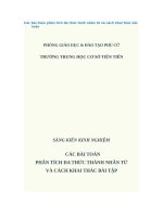 Các bài toán phân tích đa thức tành nhân tử và cách khai thác bài toán 