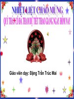 Bài 10. Danh từ (tiếp theo)