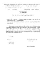 - Tờ trình v v phê duyệt đơn vị kiểm toán báo cáo tài chính năm 2012