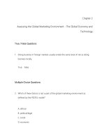 Global marketing contemporary theory practice and cases 1st edition alon test bank 
