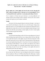 Nghiên cứu và phân tích sai lầm về chiến lược của các hãng air mekong – thép nam kim – vinamilk và habubank