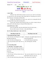 Giáo án mĩ thuật đan mạch theo chủ đề   lớp 4 