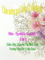 Bài 9. Đề phòng bệnh giun