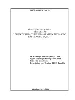 SKKN PHÂN TÍCH đa THỨC THÀNH NHÂN tử và các bài tập ỨNG DỤNG 