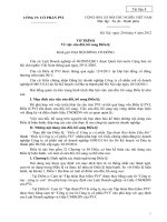 Noi dung 8.0. To trinh ve sua doi bo sung Dieu le PVI