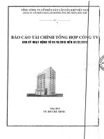 Báo cáo tài Công ty Cổ phần Xây lắp Đường ống Bể chứa Dầu khí Cho kỳ hoạt động từ 01 10 2013 đến 31 12 2013 - PVC-PT Công ty Cổ phần xây lắp đường ống bể chứa dầu khí