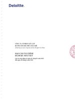 Báo cáo tài Công ty Cổ phần Xây lắp Đường ống Bể chứa Dầu khí Cho kỳ hoạt động từ 01 01 2013 đến 30 6 2013 - PVC-PT Công ty Cổ phần xây lắp đường ống bể chứa dầu khí