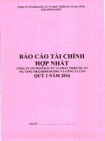 Báo cáo tài chính quý 2 năm 2016 (Hợp nhất)