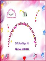 Bài 11. Bài ca nhà tranh bị gió thu phá (Mao ốc vị thu phong sở phá ca)