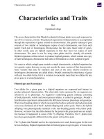 Characteristics and Traits
